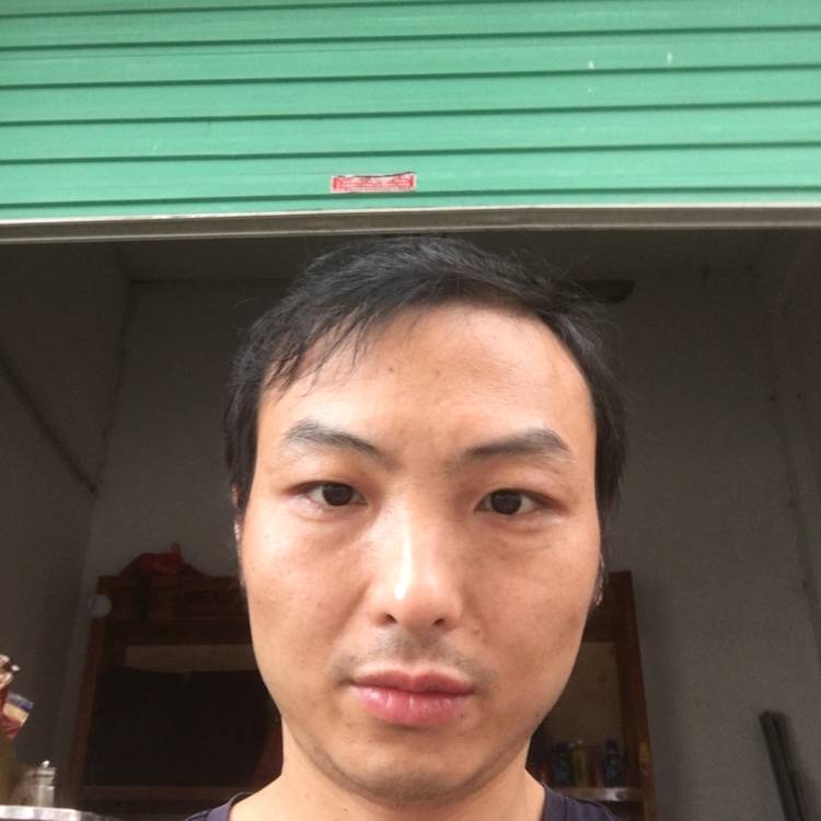 鼠标打聪明的照片