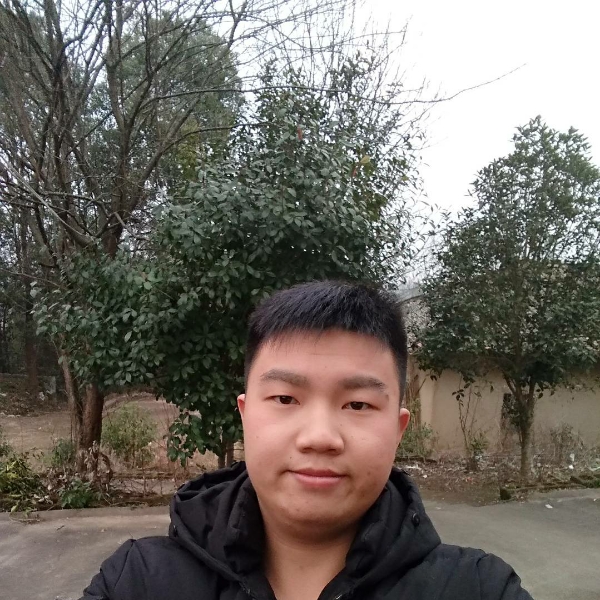 淡淡西安的照片
