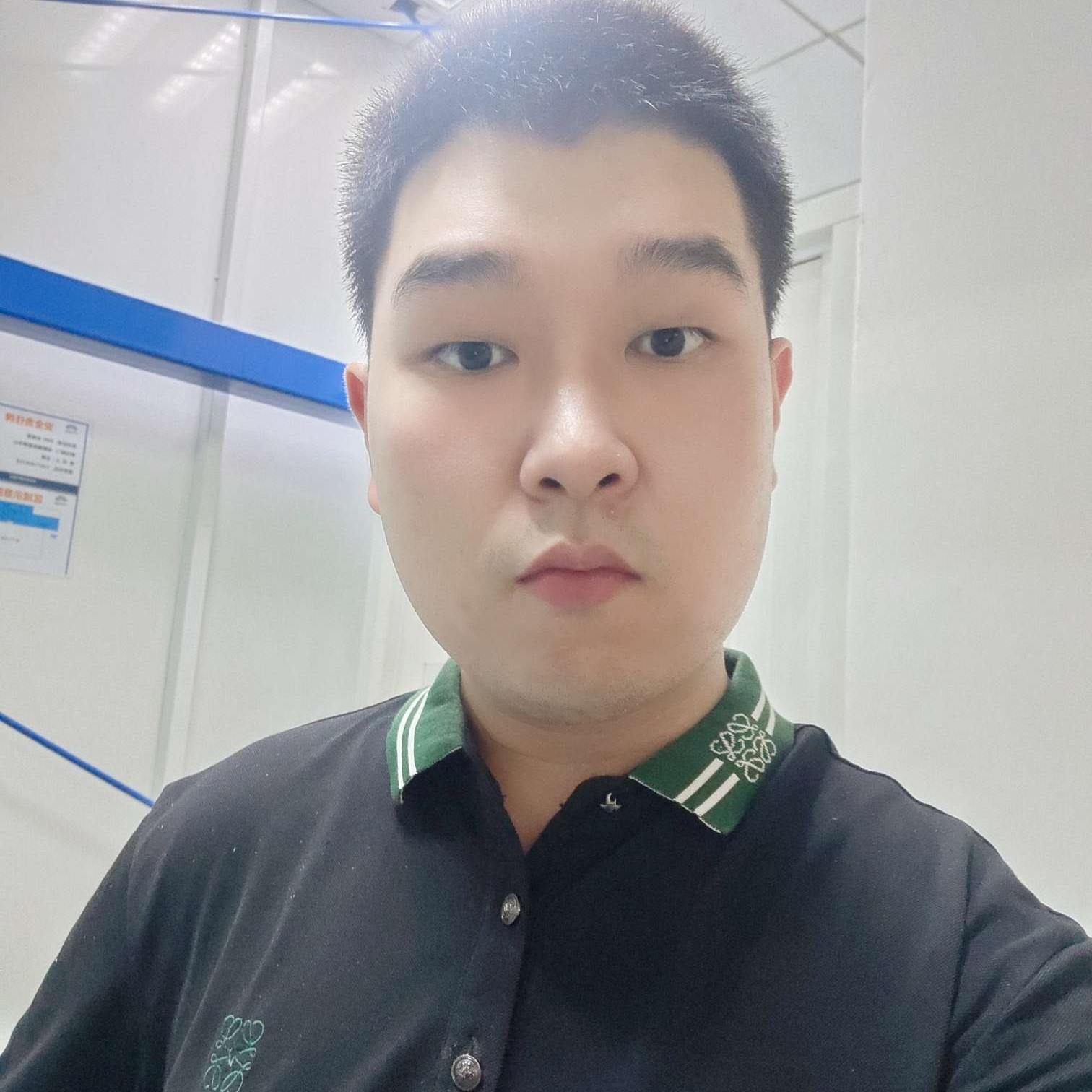 独特方康乃馨的照片