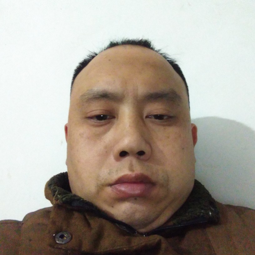 小懒猪拾忆英勇的照片
