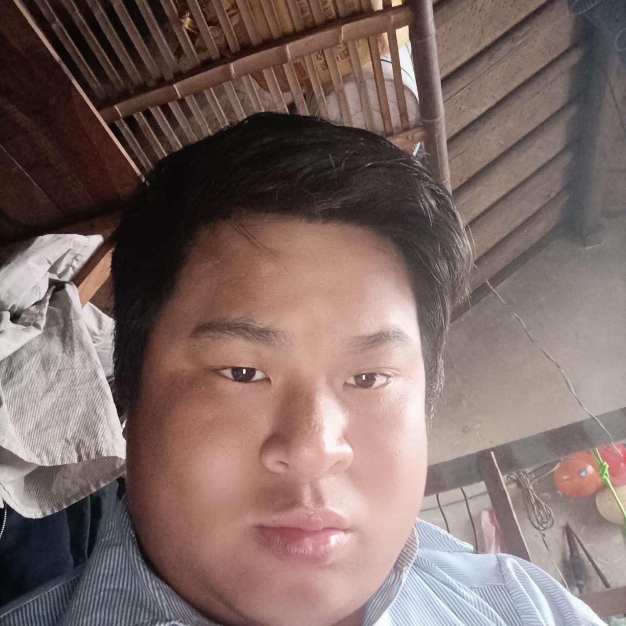 大胆倾心星月的照片
