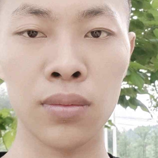 啊进ji的照片