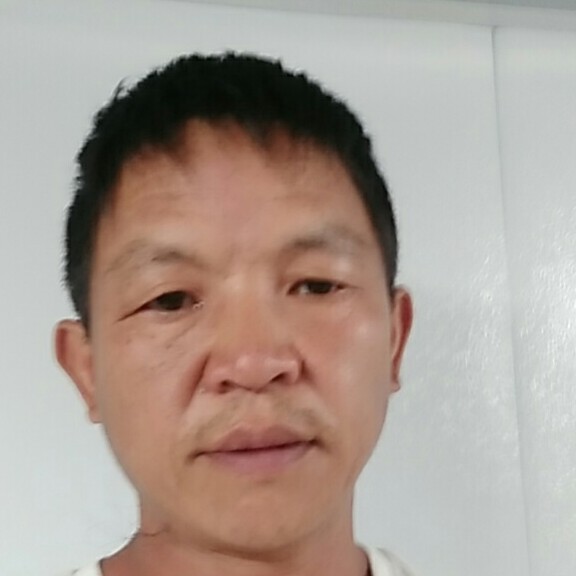 蜜蜂的后来的照片
