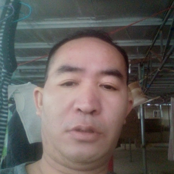 黄豆饱满的照片