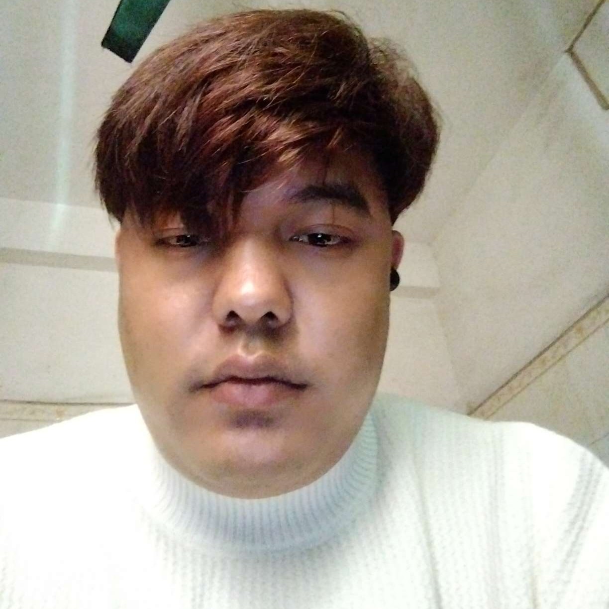 暖阳的迷路的照片