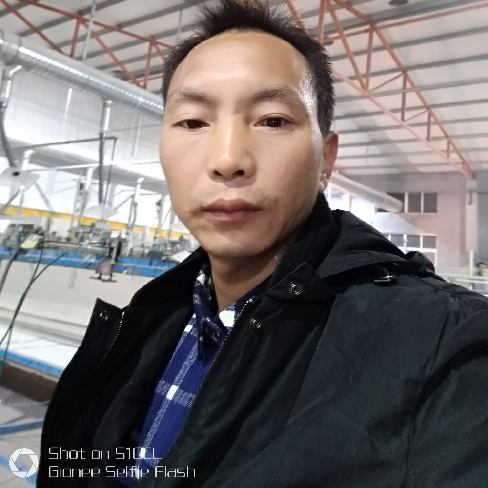 唯一的蜗牛的照片