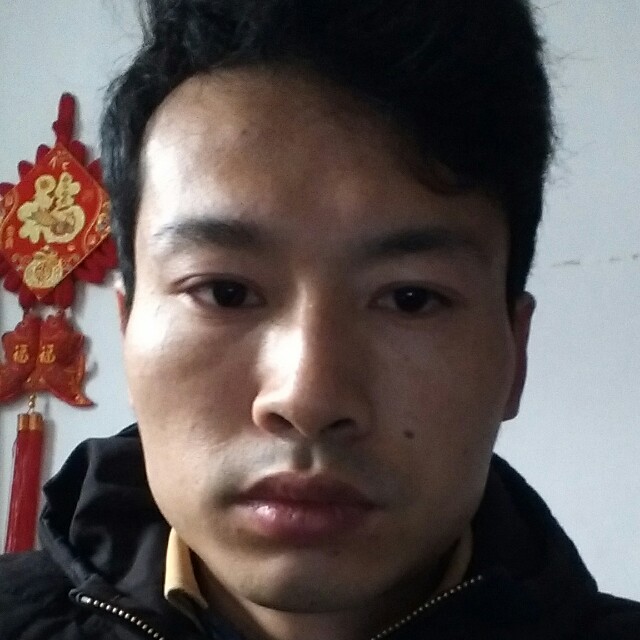高雷雷的照片