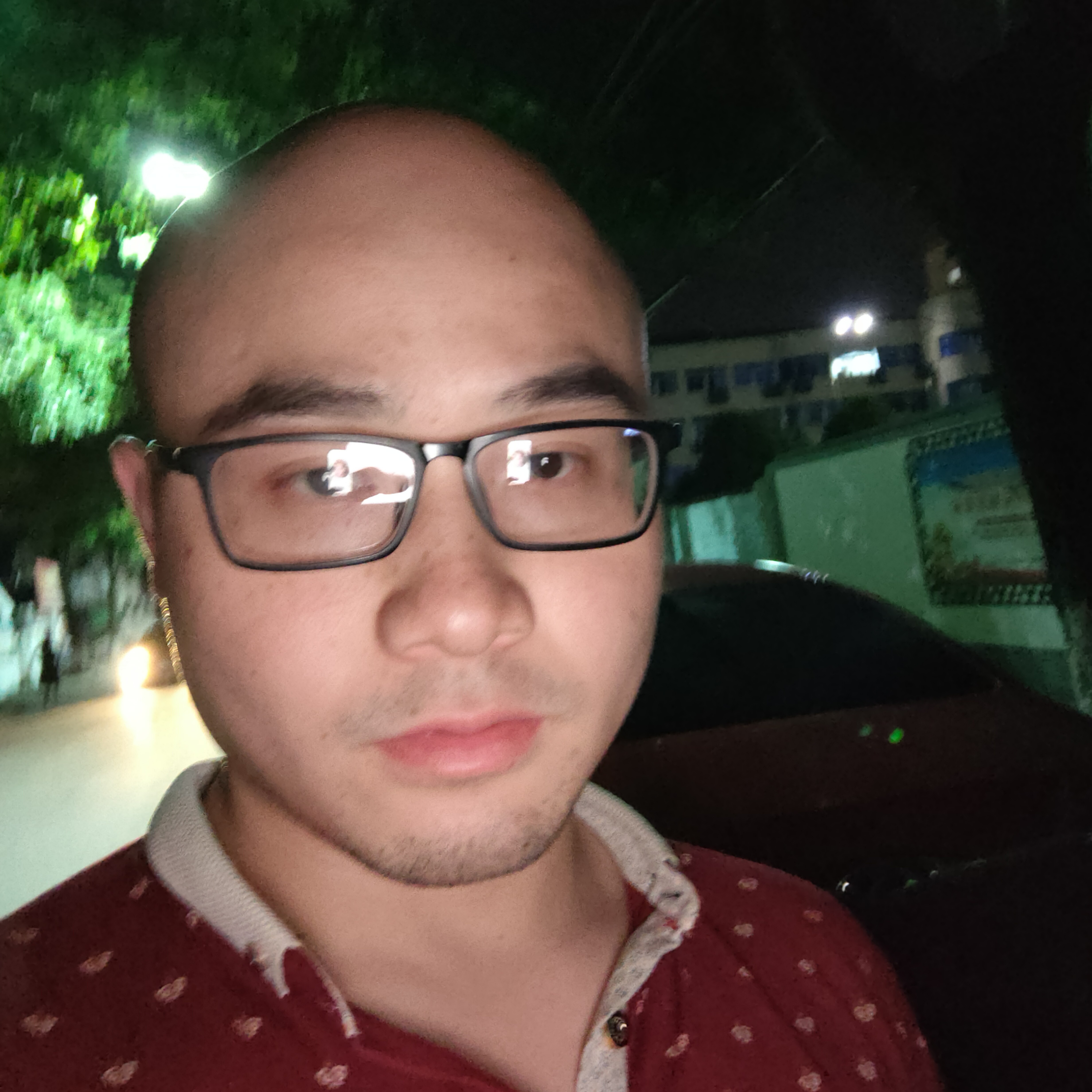 小鸽子踢沉静的照片