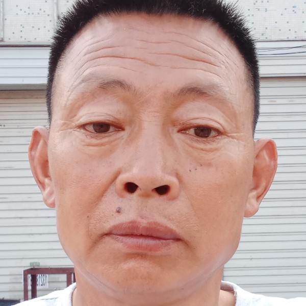 洋葱愿奋斗的照片