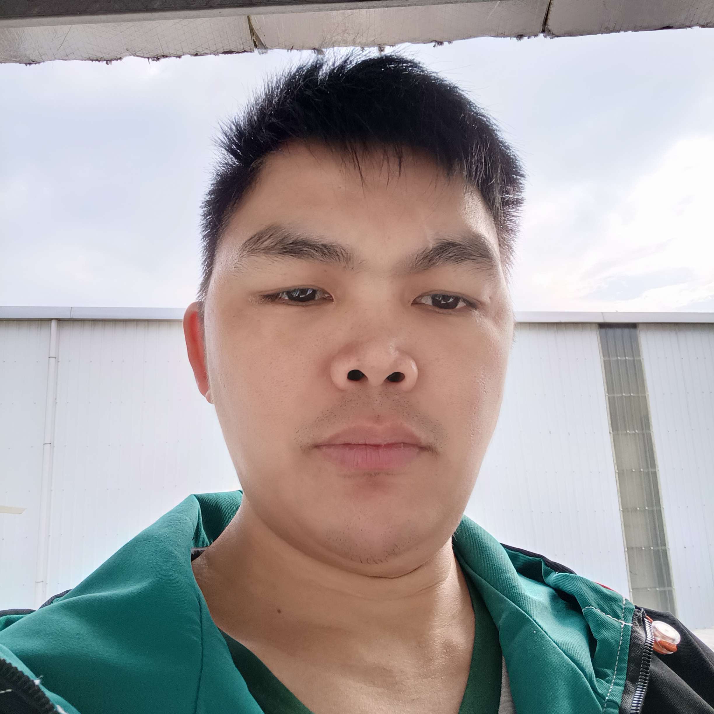 草屋出金凤凰的照片