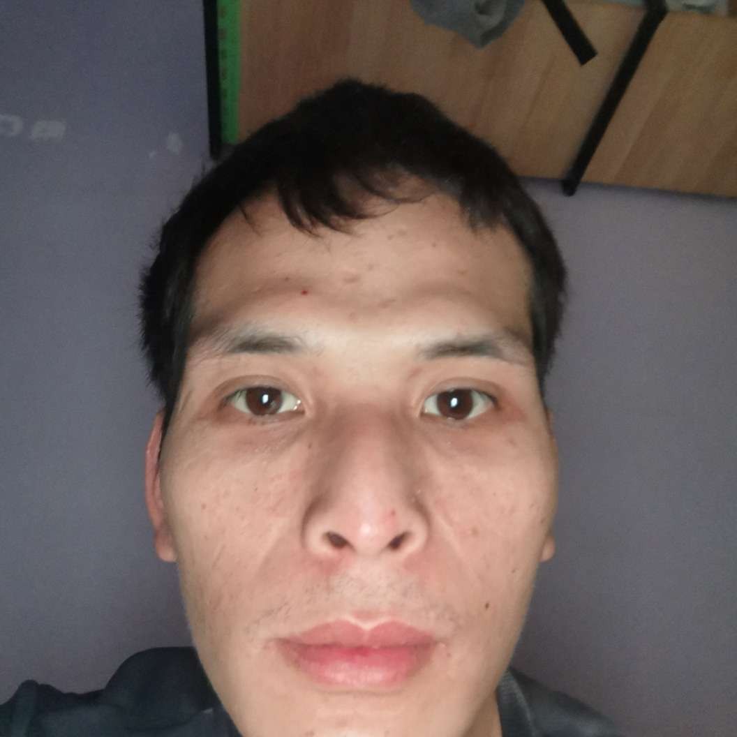 小刺猬蹁跹拉长的照片