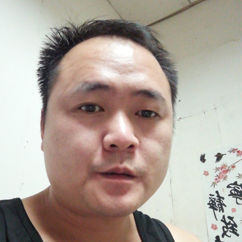 独的狼的照片