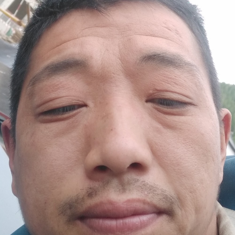 鲜花说称心的照片