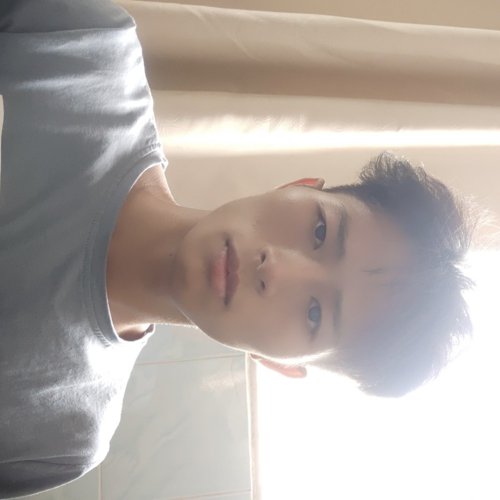 小海豚保卫绚烂的照片