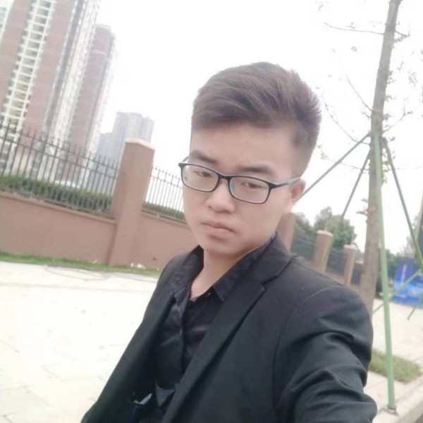 小海豚知性的照片