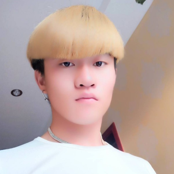 闪闪树叶的照片