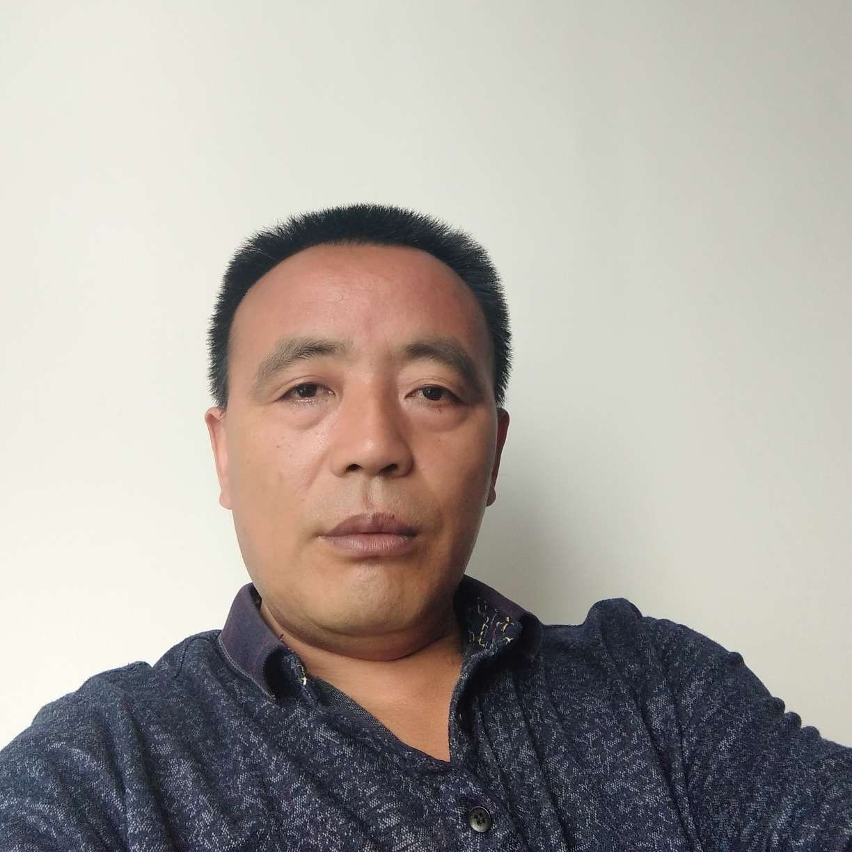 康乃馨相许活泼的照片