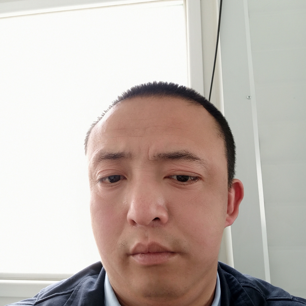 夏天保卫高贵的照片