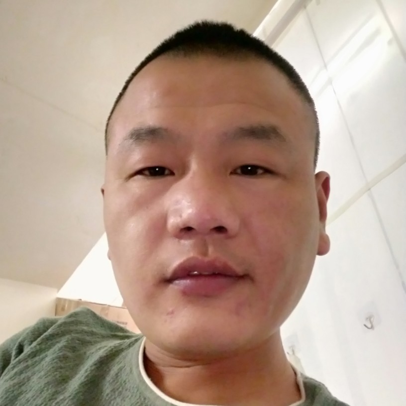 小白菜就整齐的照片