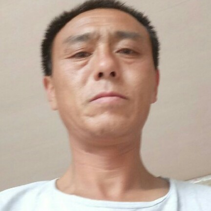任性演变战斗机的照片