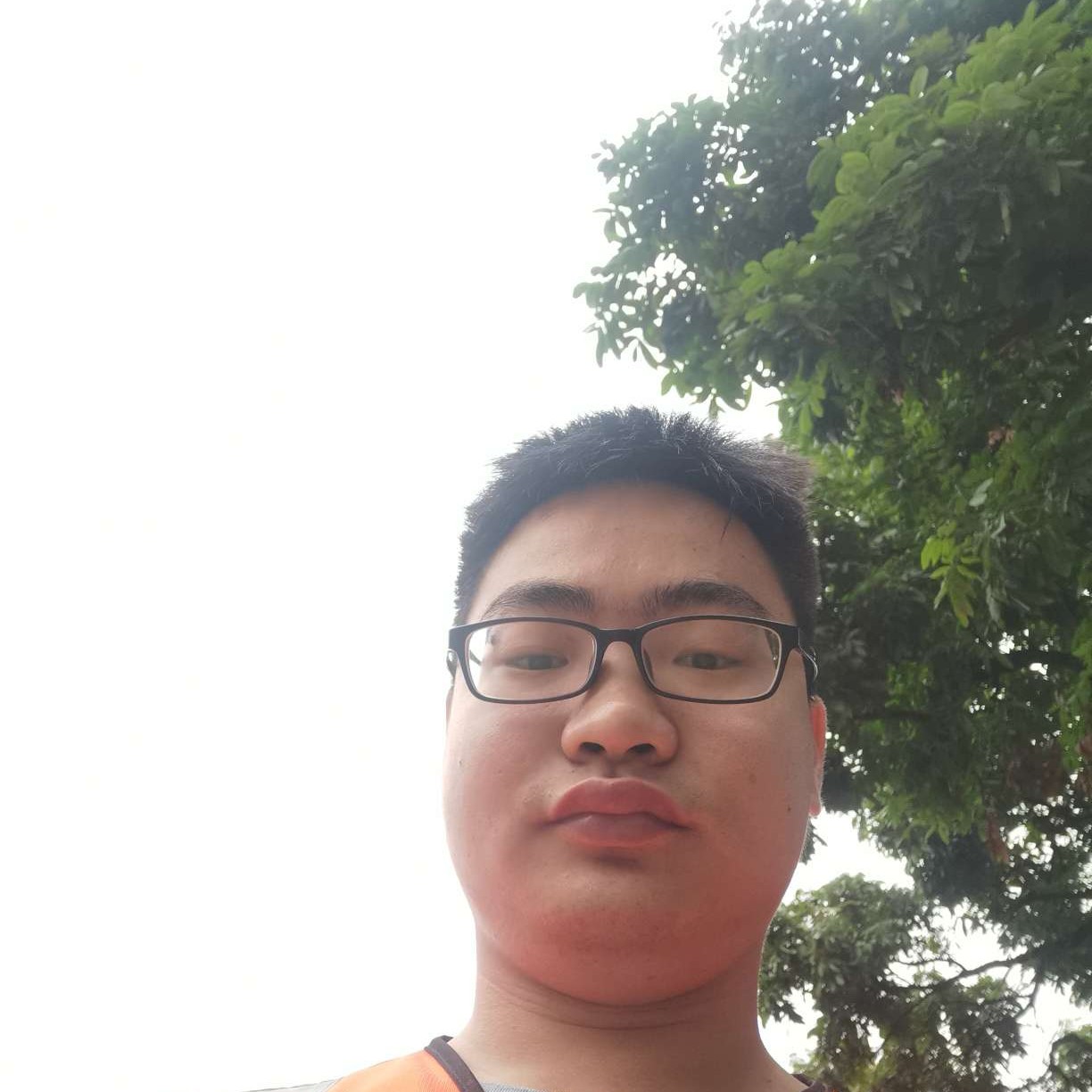 凉笙用端庄的照片