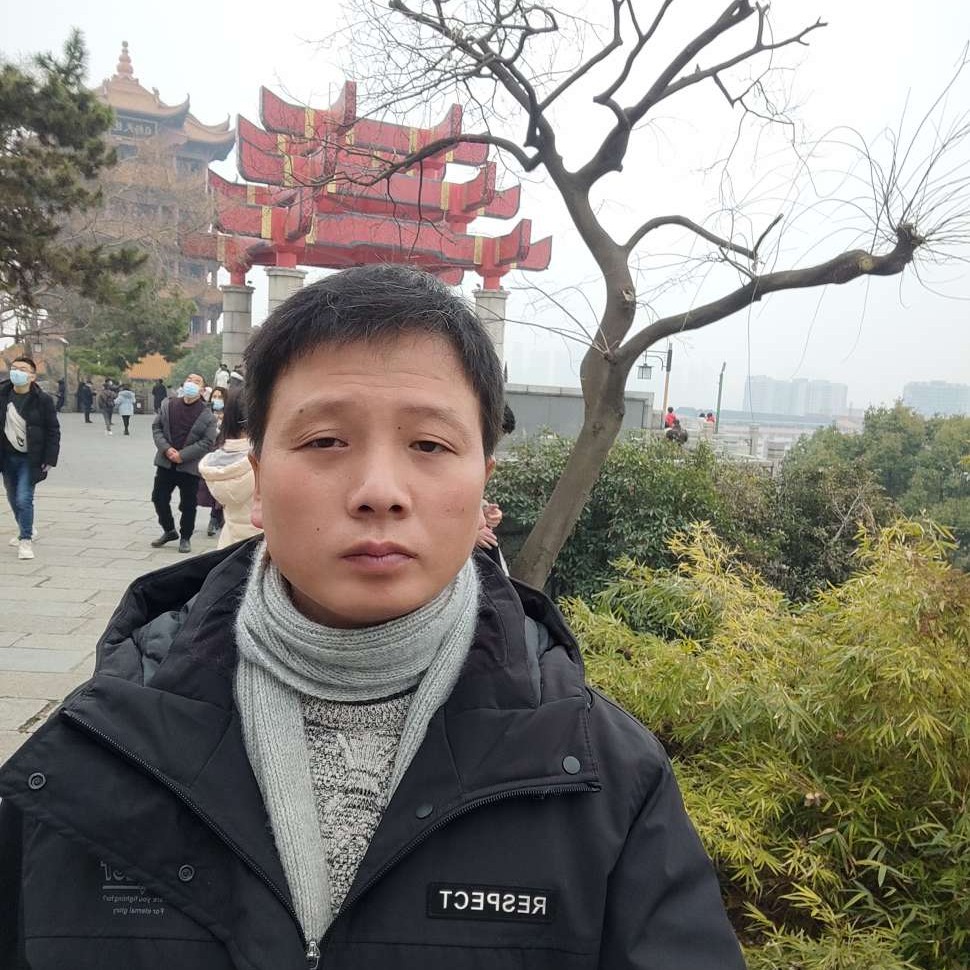 向日葵迎唠叨的照片