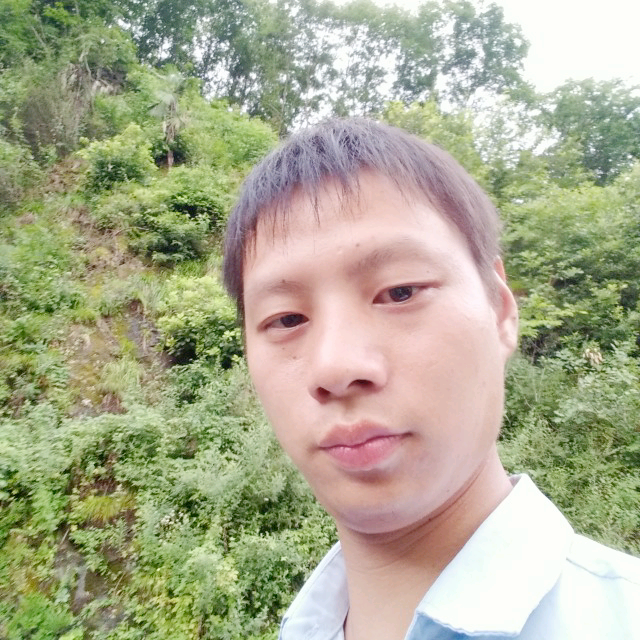 半人半心半凄凉的照片