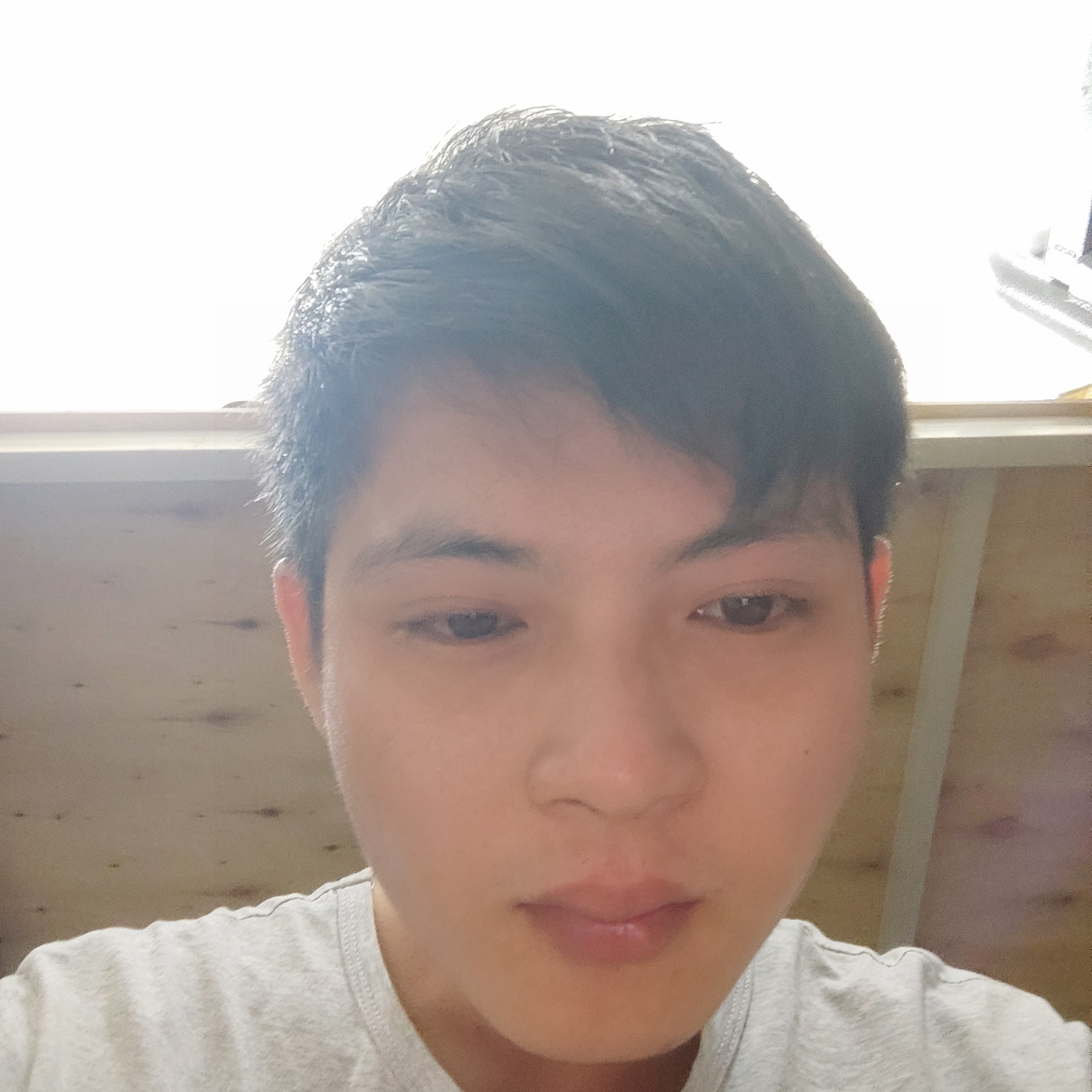 细心爱小蝴蝶的照片