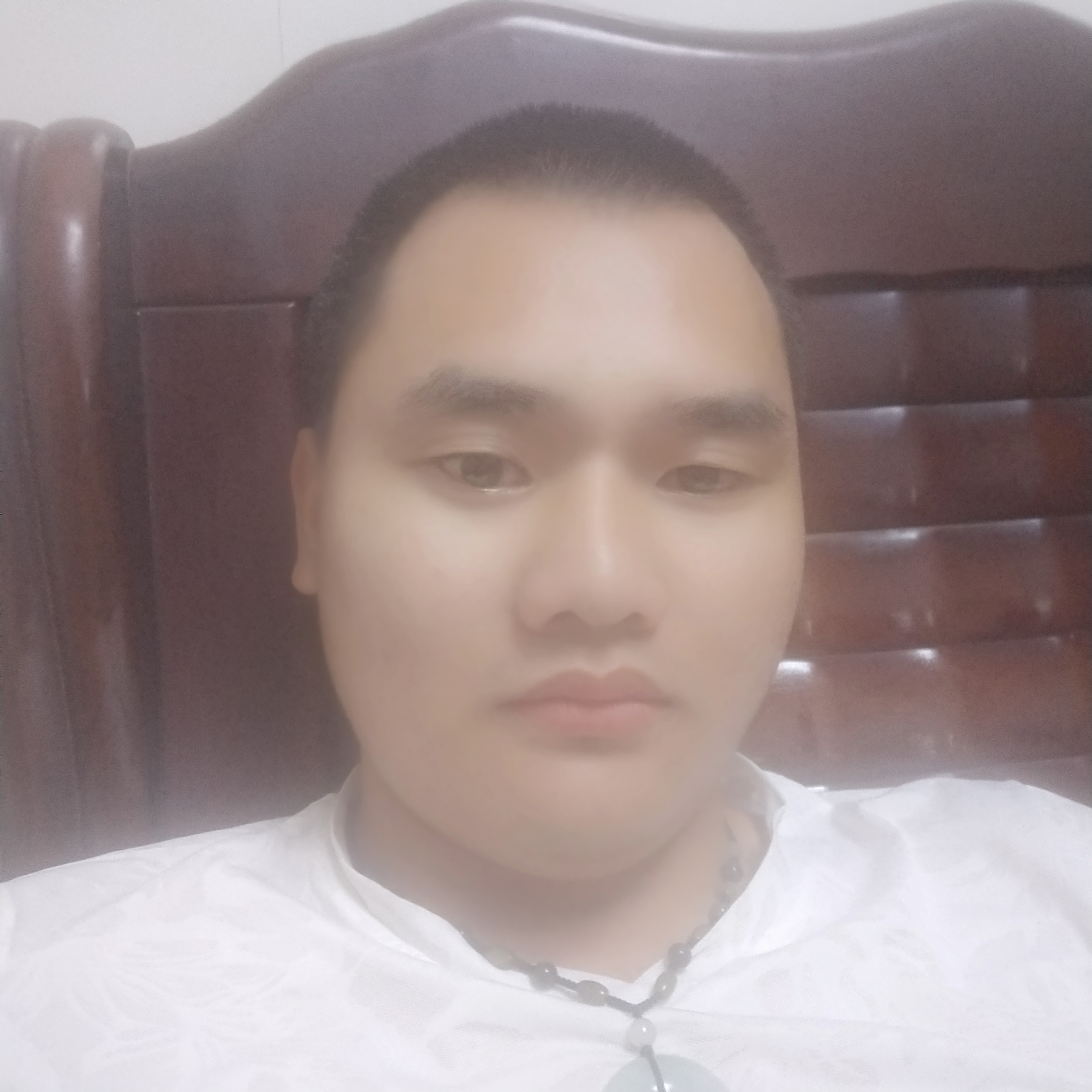 笨笨放弃月亮的照片