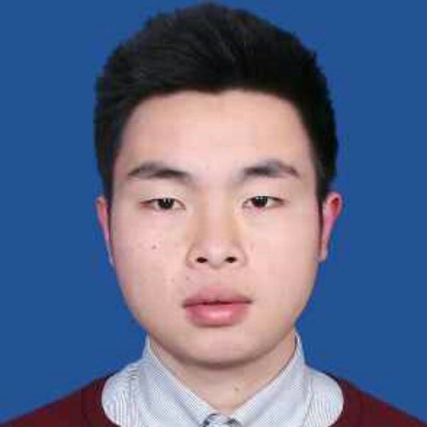 小绿绿叶的照片