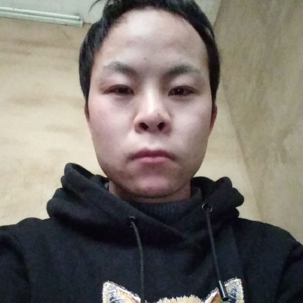 树叶淡淡的照片