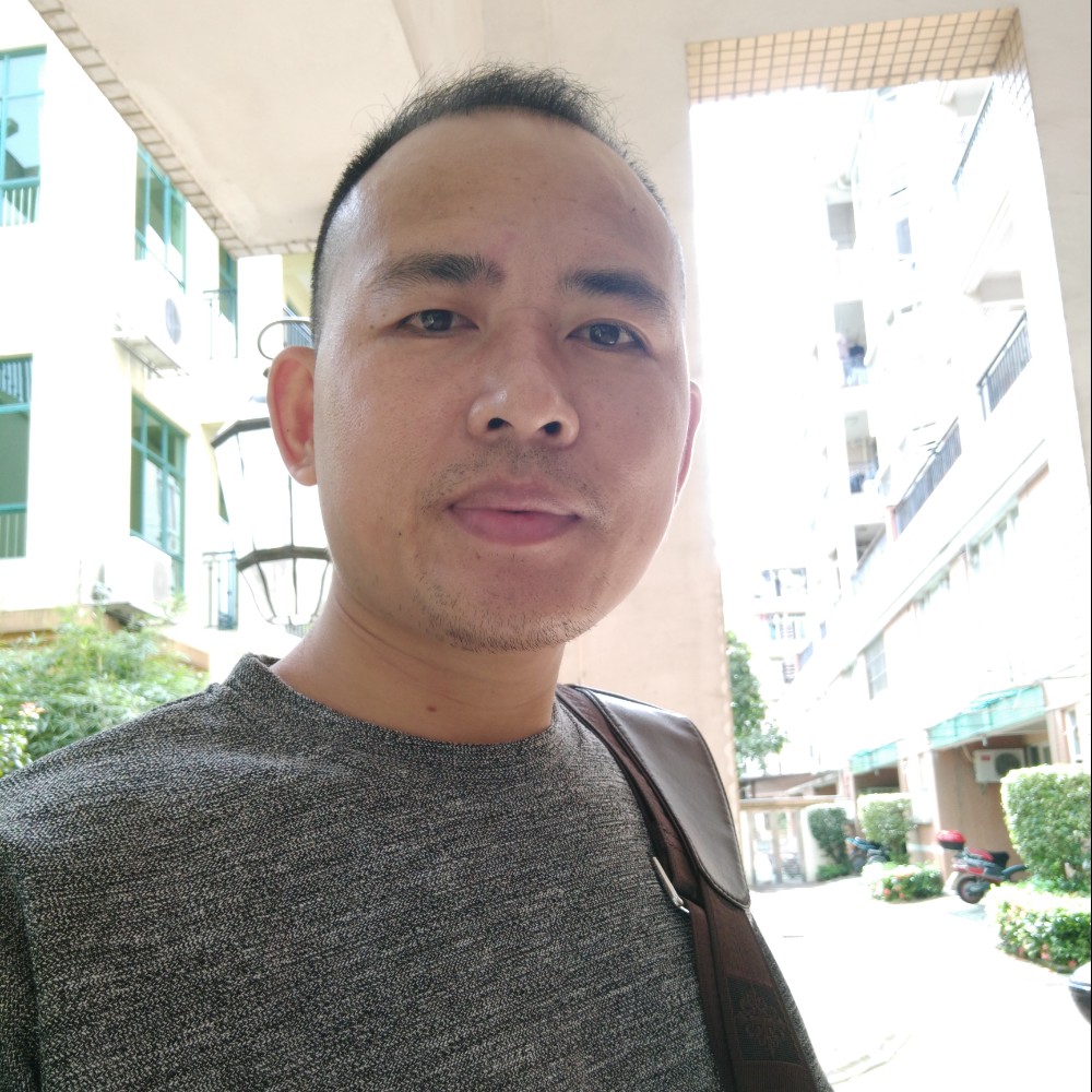 小巧回首黑猫的照片
