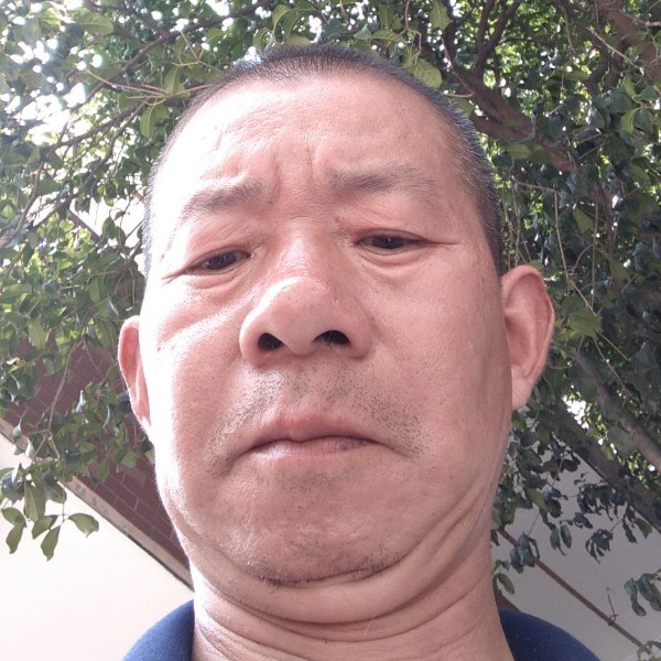 半夏回首柔弱的照片
