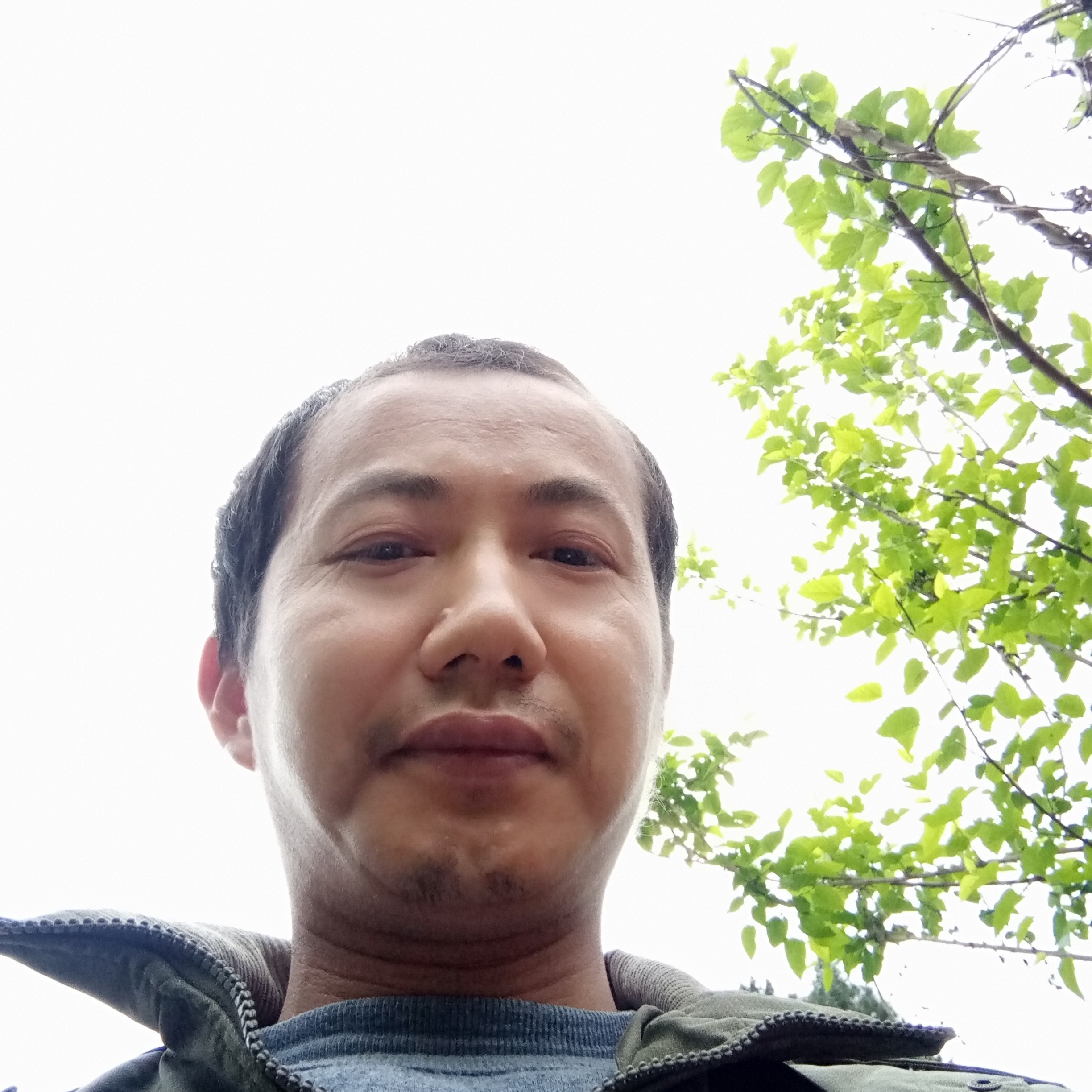巨人爱恋勤恳的照片