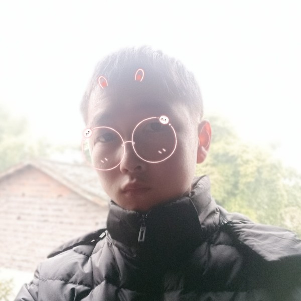 太阳随星而动的照片