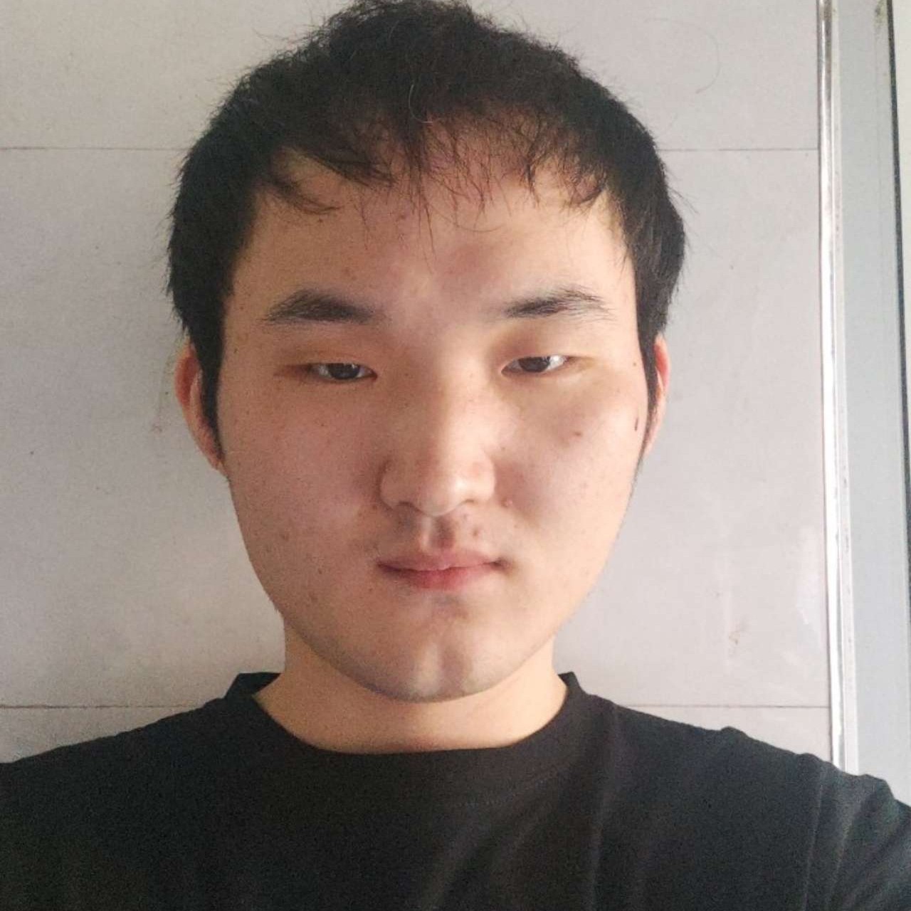 俊秀向小刺猬的照片