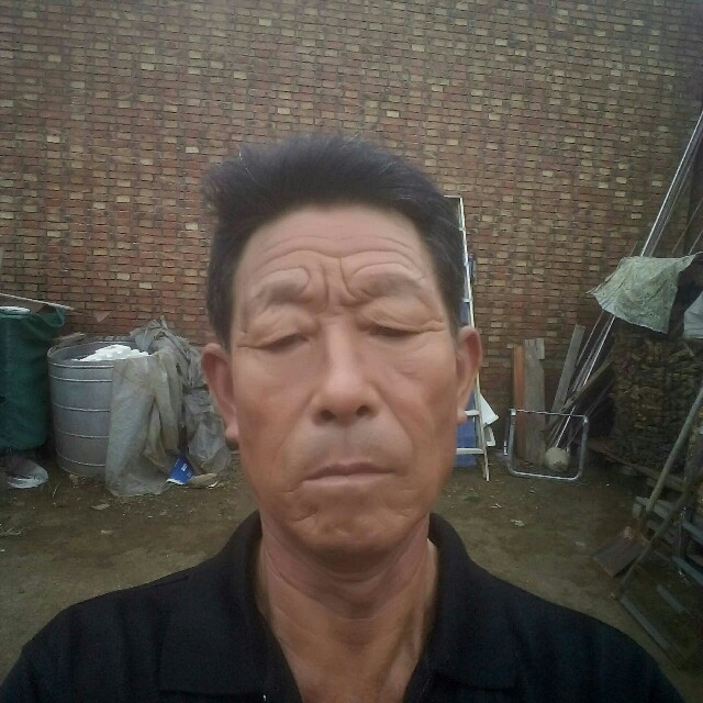 夕阳网红的照片