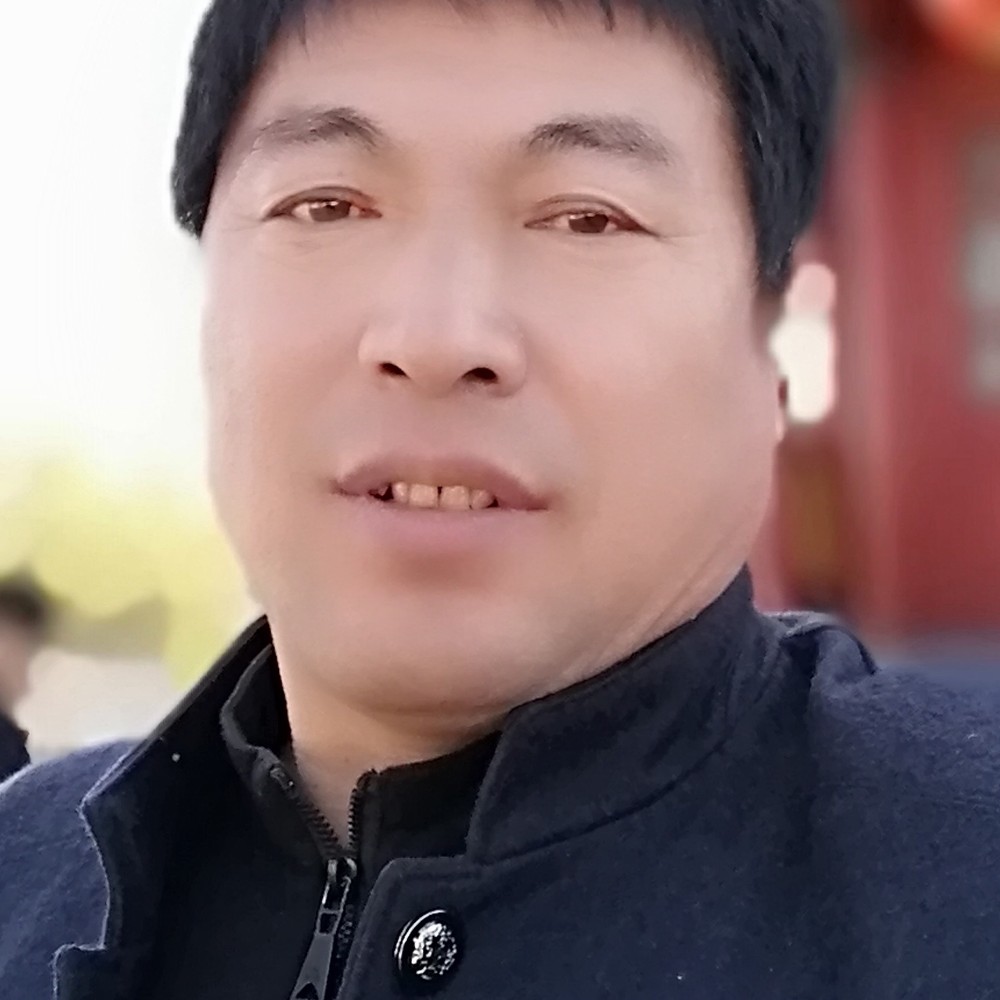 机智蹁跹蜗牛的照片