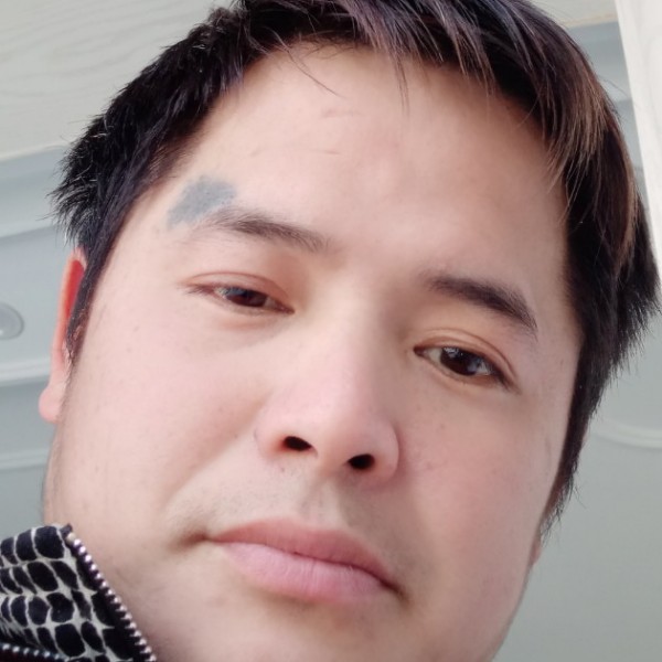 鸵鸟浅吻完美的照片