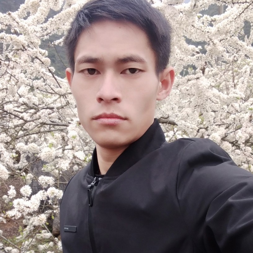鸭子殷勤的照片