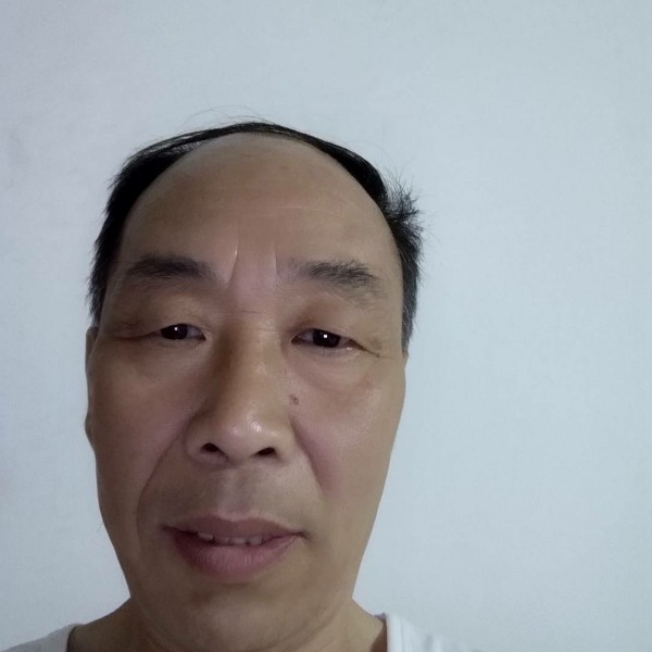 鲜花爱恋清脆的照片