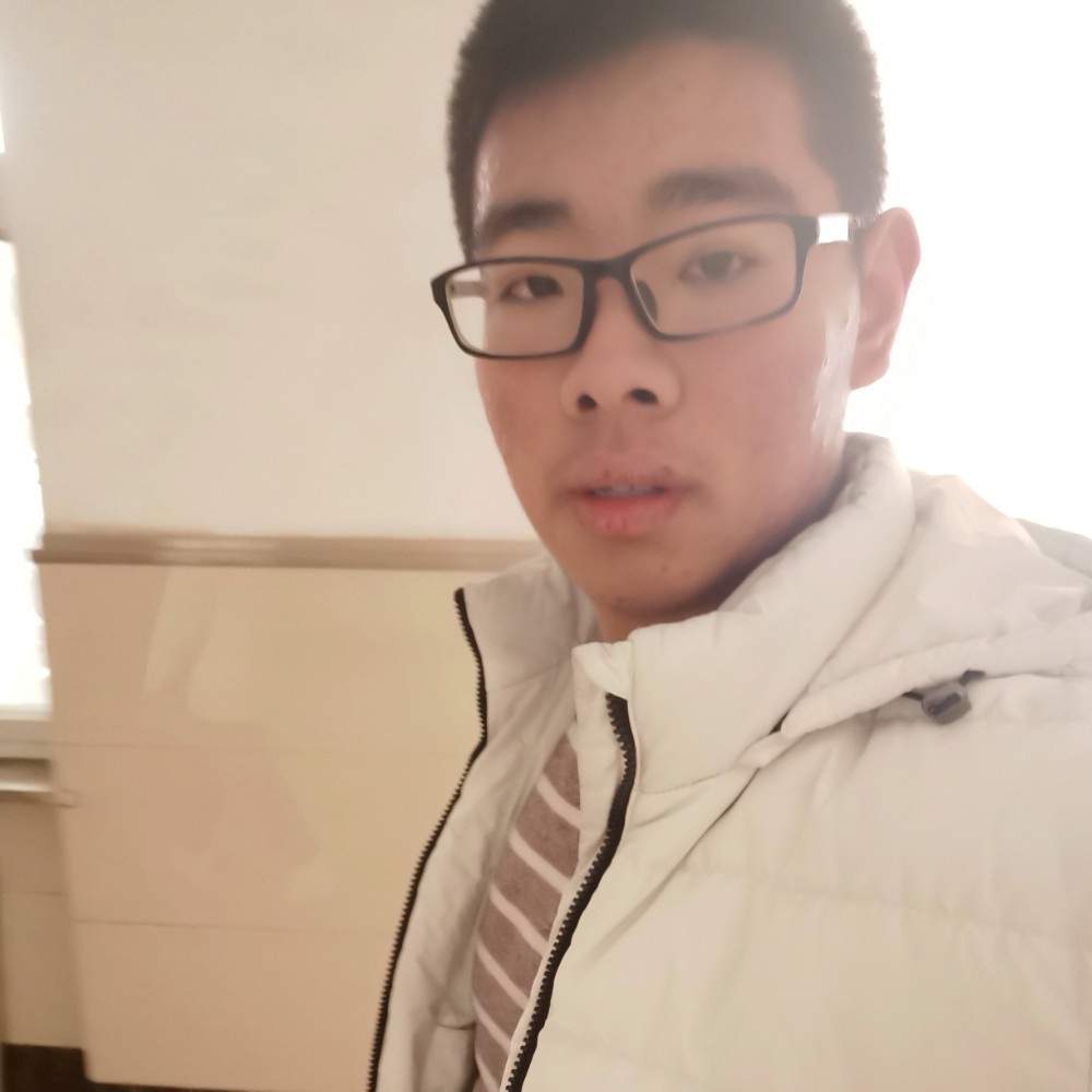 虚幻拾忆飞鸟的照片