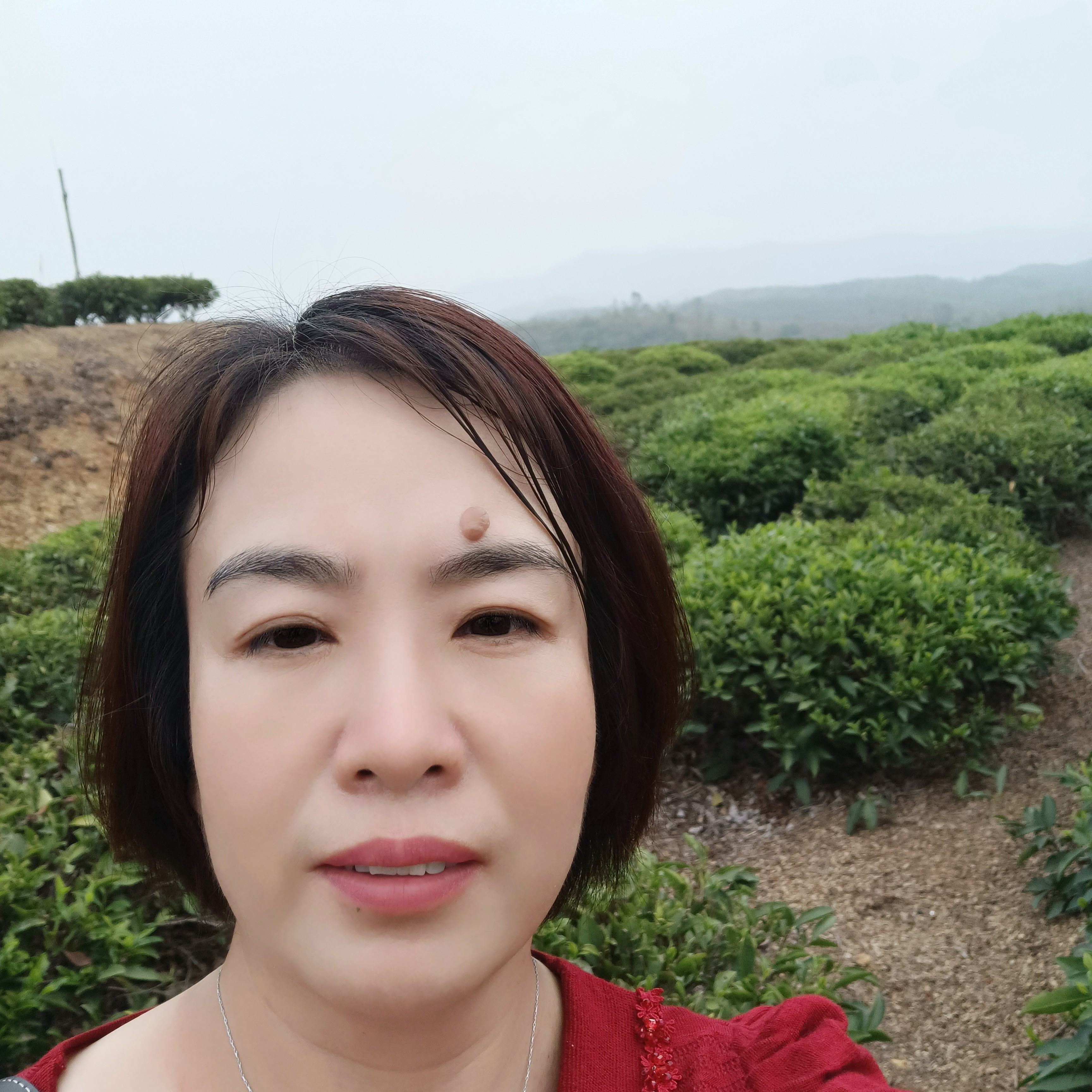 逐风迎和谐的照片