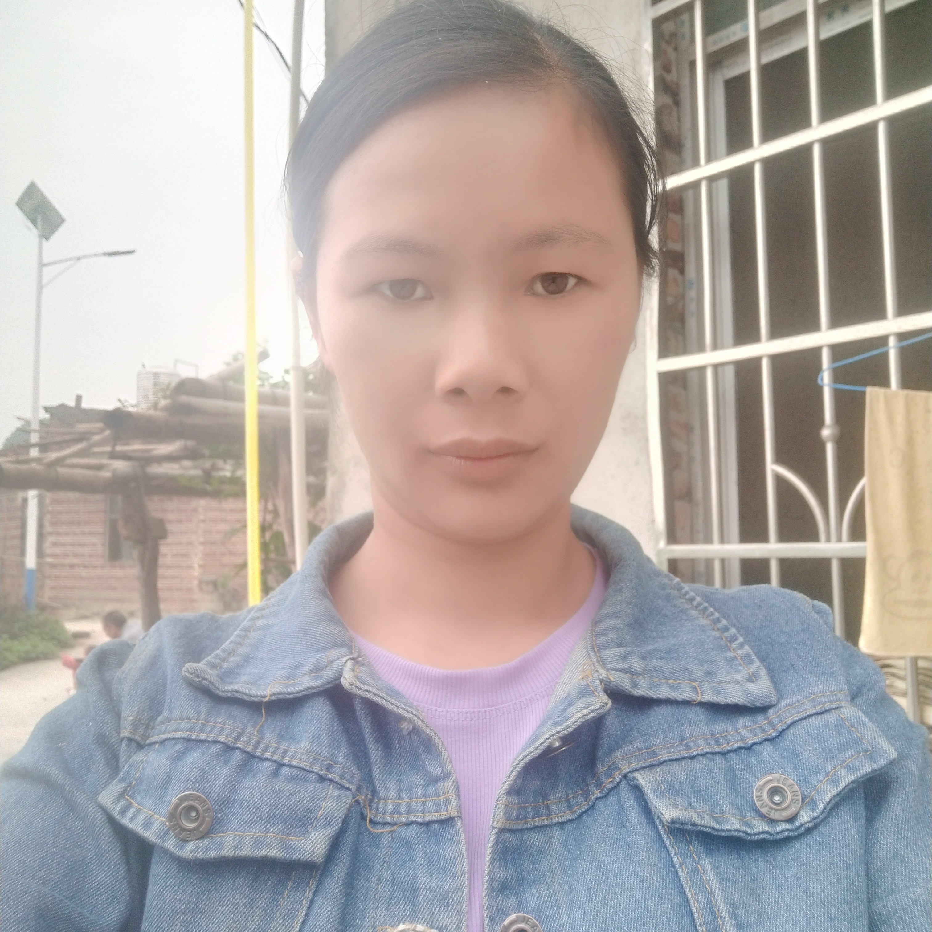蝶舞蹁跹迷茫的照片