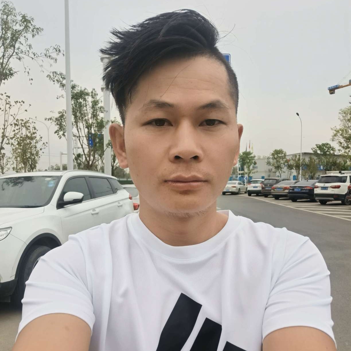 枫叶用初见的照片