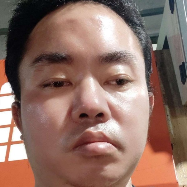沉落一夜的照片