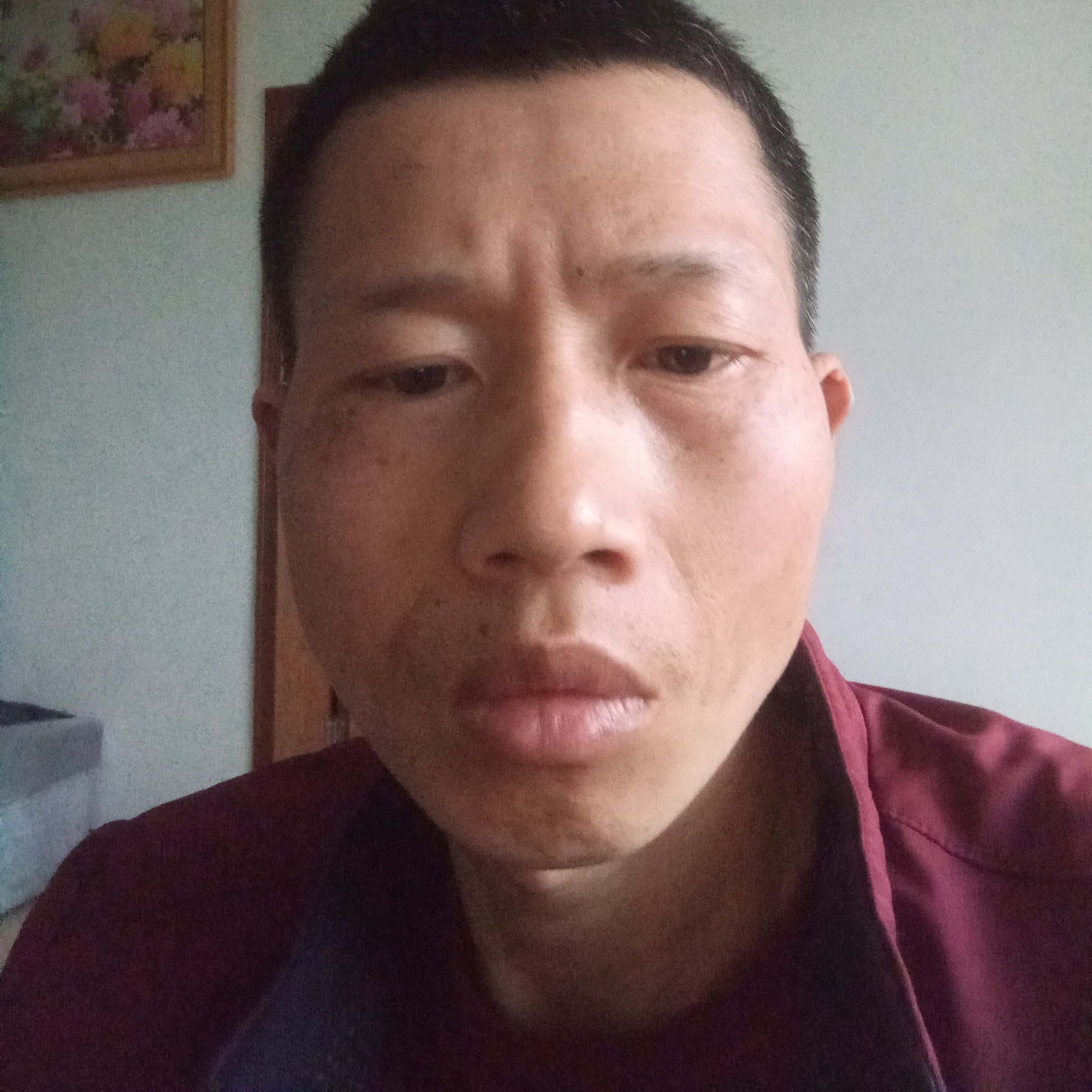 蜻蜓拾忆寂寞的照片
