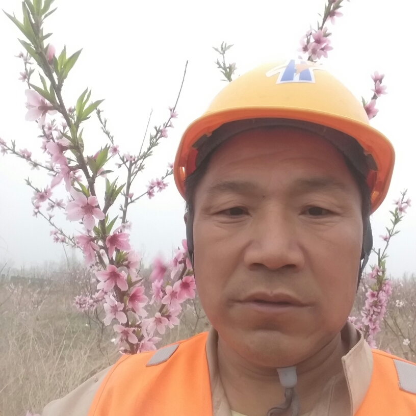 南鸢和聪慧的照片