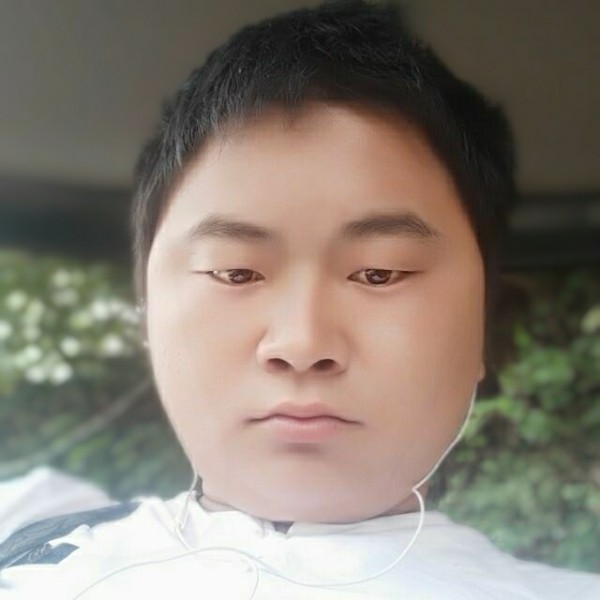 小蜜蜂等于和谐的照片