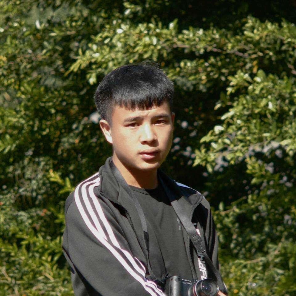 芜筀的照片